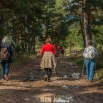 Wanderung: Sonnenuntergangstour auf den Bocksberg