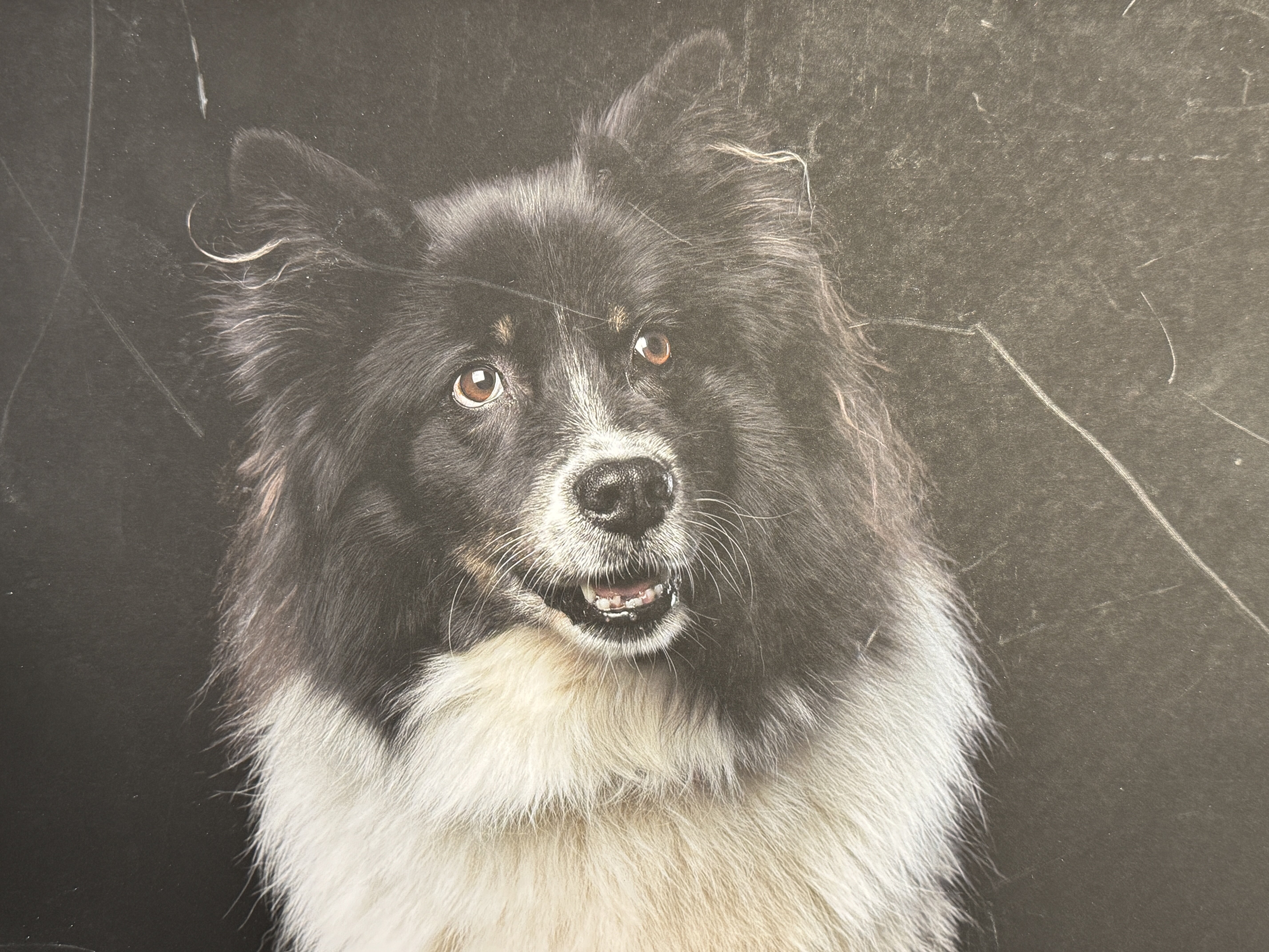 Chalet mit Sauna und Kamin